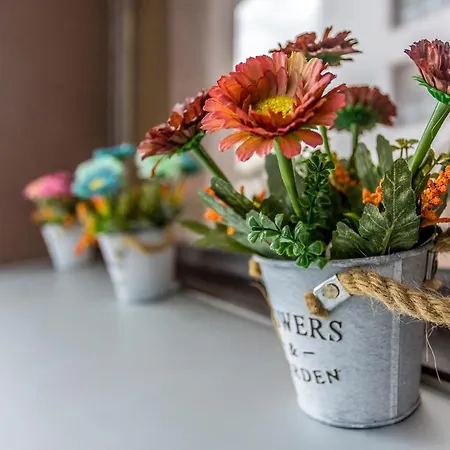 Paseo Antzieta 31. 1e Apartmán San Sebastián