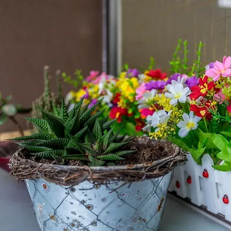 Paseo Antzieta 31. 1e * San Sebastian